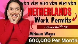Get EXPERT APPROVAL for a Netherlands Work Visa FAST