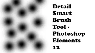 Photoshop elements : Detail smart brush tool quick guide