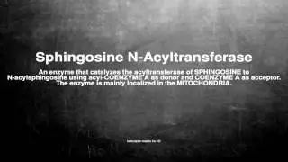 Medical vocabulary: What does Sphingosine N-Acyltransferase mean