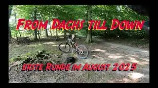 From Dachs till Down Techno Edition
