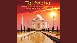Yoga del Sol (Musica Yoga Reiki)