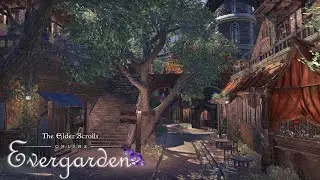 Thieves' Oasis - Evergarden