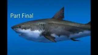 Ace Fishing:Great White Shark Part Final