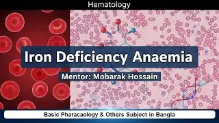 Iron Deficiency Anemia | Basic pharmacology & others subject in Bangla 