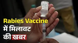 अब कुत्ते के काटने पर पड़ने वाले Rabies Injection में भी मिलावट की ख़बर 