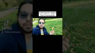 Apparently 🍎 are freely available in German parks!