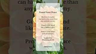 Day 14 - Guard Your Peace