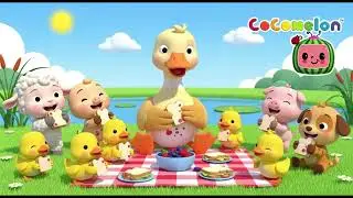 Five Little Ducks Shows Kindness