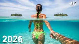 Ocean Therapy Soft Chill | Alan Walker Inspired Ambient Music