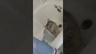 Half Life Scientist Bugging a HL Cat Minding Their Own Business