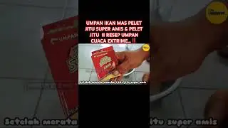 UMPAN IKAN MAS PELET JITU SUPER AMIS & PELET JITU  II RESEP UMPAN CUACA EXTRIME...‼️#shortsvideo