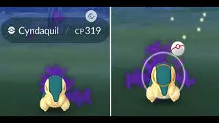 Shadow Cyndaquil Pok&eacute;mon Go live stream #2 @gu1abjam