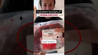 Beef Kidney for Dogs: The Vitamin-Rich Superfood