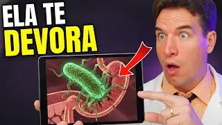😱 Este GERME causa C&Acirc;NCER de est&ocirc;mago (ALERTA)⚠️