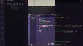 Web Developer