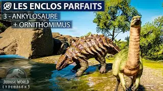 ANKYLOSAURE & ORNITHOMIMUS | LES ENCLOS PARFAITS : ÉP.3 | JURASSIC WORLD EVOLUTION 3