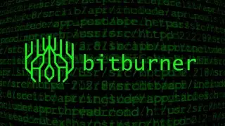 Learning How To Burn Bits (And Its Not What You Think) | bitburner