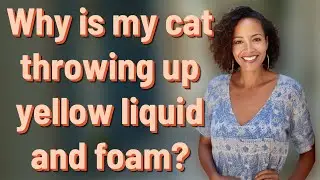 Why is my cat throwing up yellow liquid and foam?