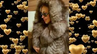 Long Silver Fox Fur Coat    (7)
