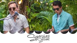 Animal Sun - High With You (Live Music) | Sugarshack Sessions