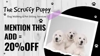 Scruffy Puppy Pet Care by Pet Marketing Agency