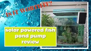 Fish Pond Pump solar Review.