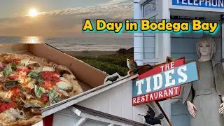 A day in Bodega Bay Vlog ☀ | 