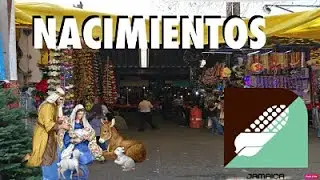 NACIMIENTOS EN EL MERCADO DE JAMAICA