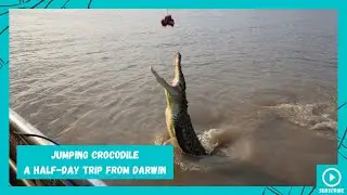 Jumping Crocodile Darwin Australia