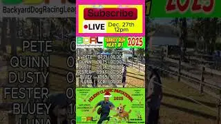 Fastest Dogs on Track: Venom Dominates Backyard Racing!
