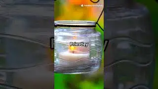 Photosynthesis in Higher Plants | Joseph Priestley | Jan Ingenhousz  | Plant Physiology | NEET #exam