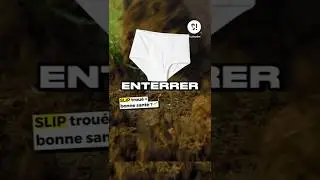 @serieux_media Conna&icirc;tre la qualit&eacute; des sols avec un vieux slip trou&eacute; ?