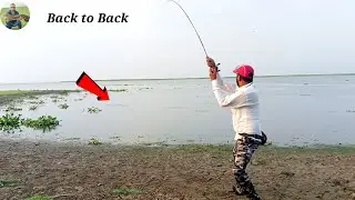 Snake head Fishing murrel Back to Back Attacks and Catch 👍