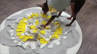 밤비노즈워크