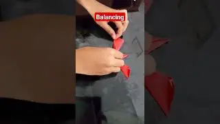 Balancing Bird