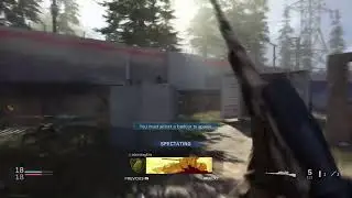 Call of duty modern warfare (tryna get my pp19 gold