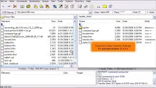 FTP: How to Manage Your Files in LeapFTP