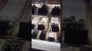 Curb your sweet tooth at Chocolate Boutique and Bakery