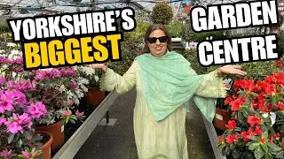 Biggest Garden Centre in Yorkshire | Let’s buy plants 🪴 #viralvideo #familyvlog #reflexion #garden 