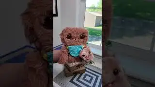 should we unbox all Mini Rascals? #fugglers #newlaunch | Fugglers