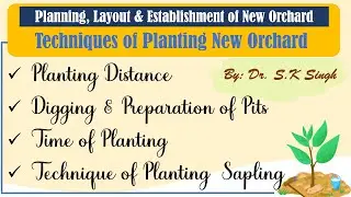 Planning, Layout & Establishment of New Orchard (Techniques of Planting New Orchard )