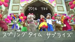 スプリングタイム·サプライズ