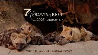 7 Days of Rest 2025