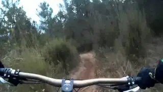 Bike&Butis Dragon Khan