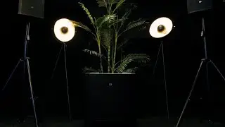 LD Systems Compact PA system | DAVE G4X SERIES