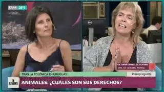 Animales, vivos o muertos, ¿cuáles son sus derechos?