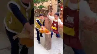Clucking HILARIOUS Chicken Antics Exposed!#funny#viralshort