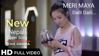 Meri Maya Dalli Dalli || Brijesh Shrestha X Beyond || New Nepali Cover Song || Korean Drama