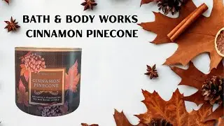 Обзор фитиля Cinnamon Pinecone 3 Wick Burn | Bath & Body Works