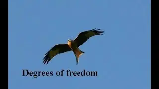 Learn Degrees Of Freedom